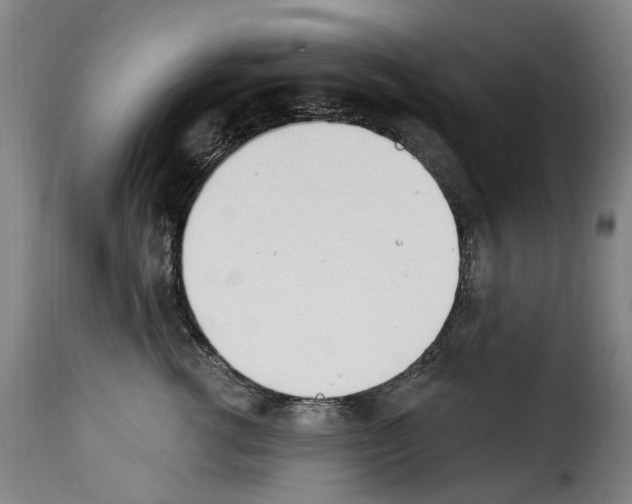 X0000114240762200911201133