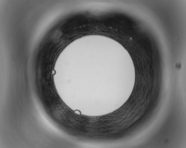 X0000114240766200911201133