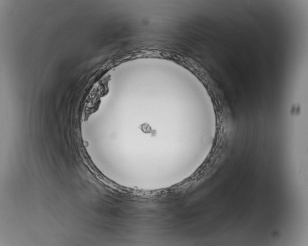 X0000114240769200911201133