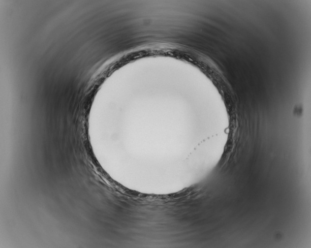 X0000114240773200911201133