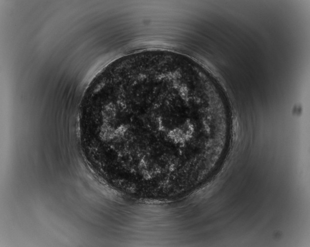 X0000114240782200911201132