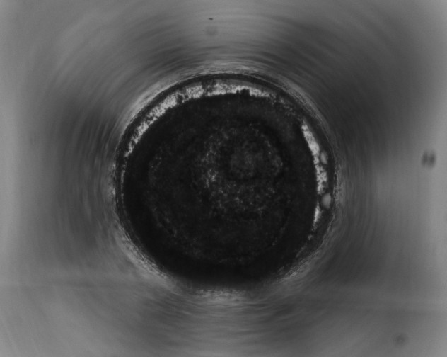 X0000114240786200911201132