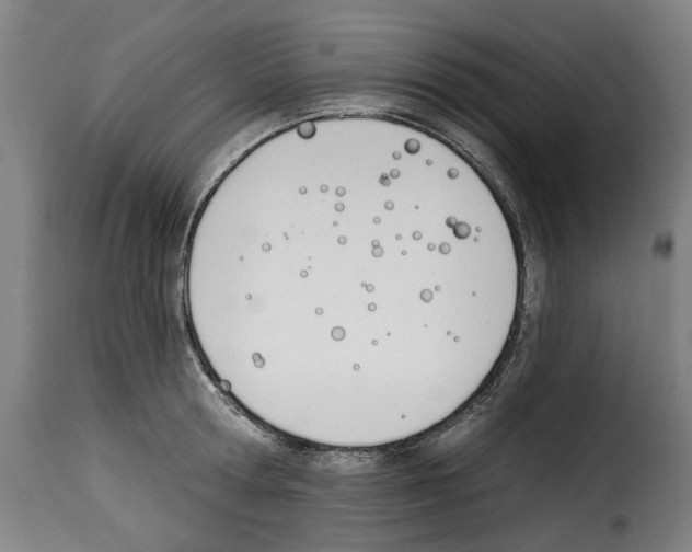 X0000114240802200911201132