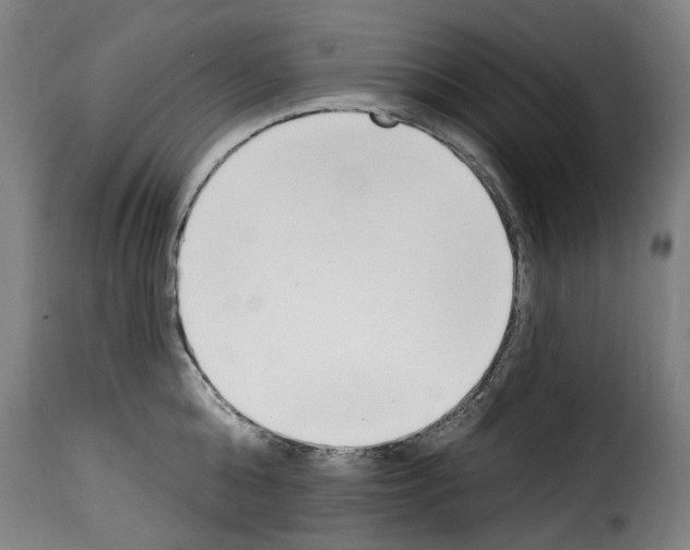 X0000114240808200911201132