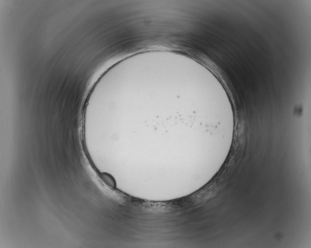 X0000114240811200911201132