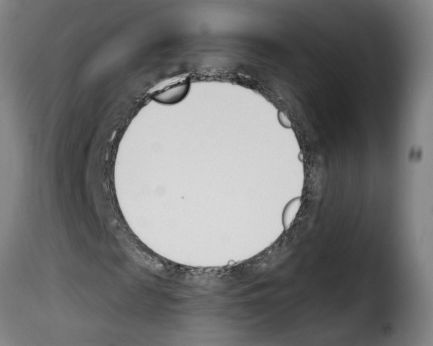 X0000114240817200911201131