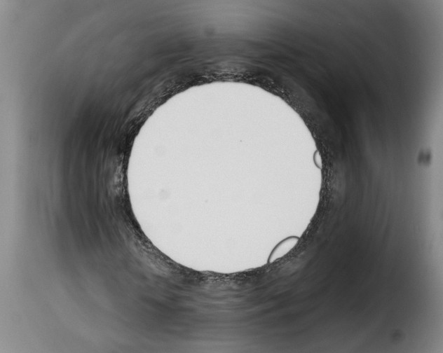 X0000114240818200911201131