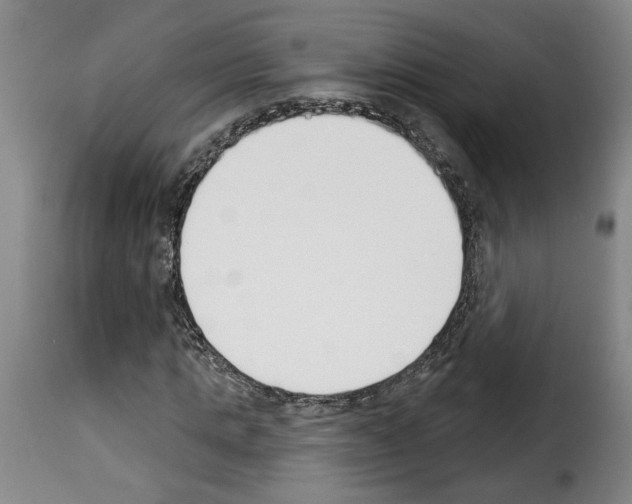 X0000114240821200911201131