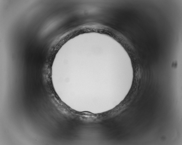 X0000114240822200911201131