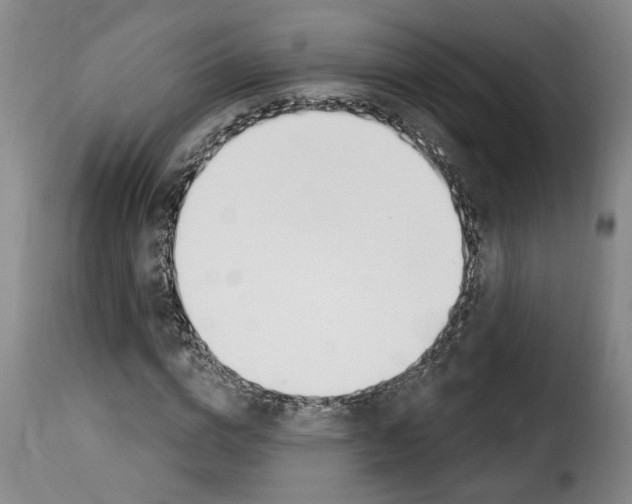 X0000114240824200911201131