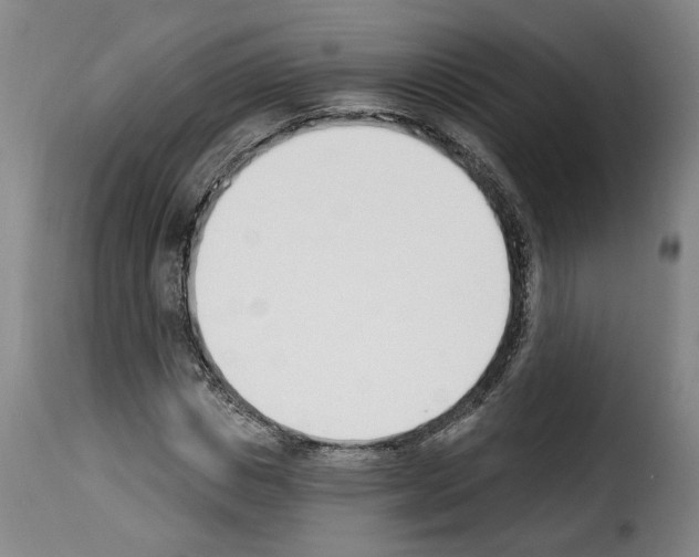 X0000114240825200911201131