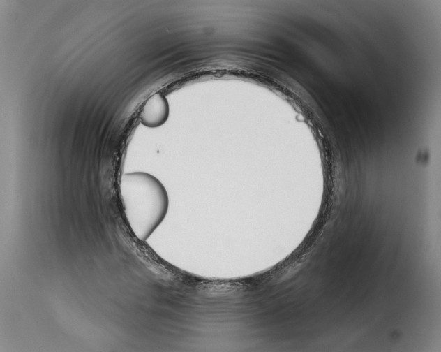 X0000114240826200911201131