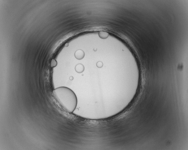 X0000114240827200911201131