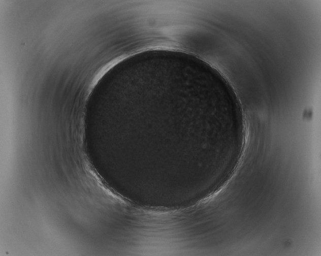 X0000114240829200911201131