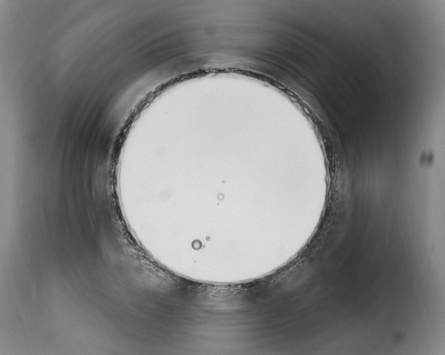 X0000114240832200911201131