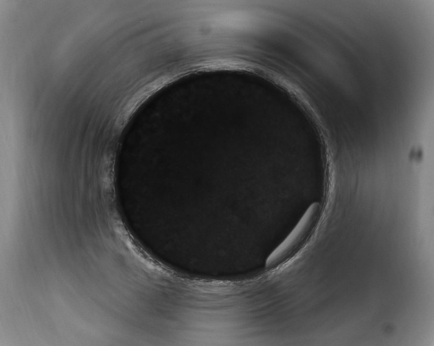 X0000114240833200911201131