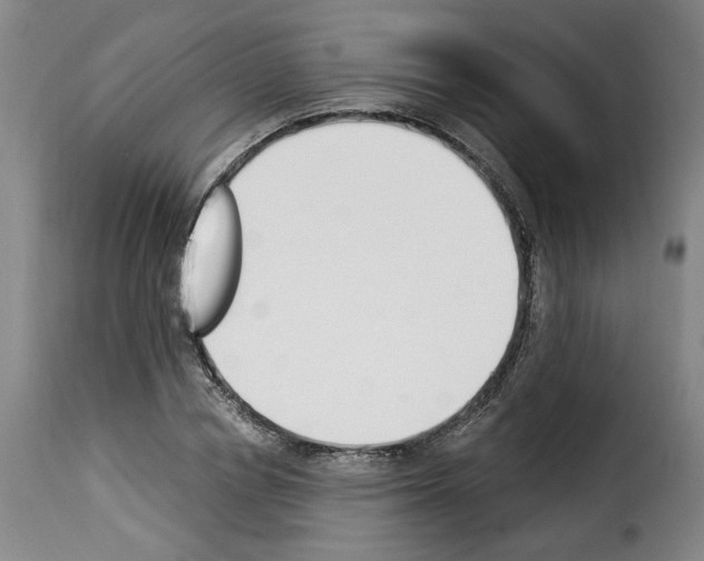 X0000114240834200911201131