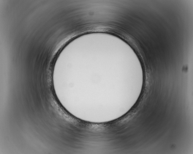 X0000114240835200911201131