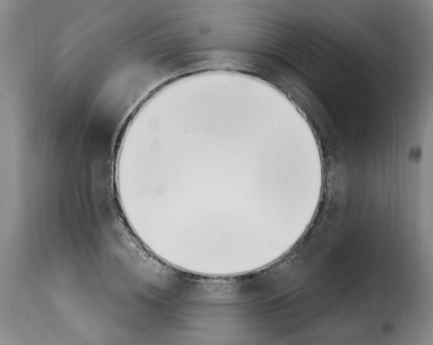 X0000114240836200911201131