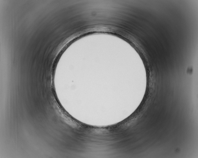 X0000114240837200911201131