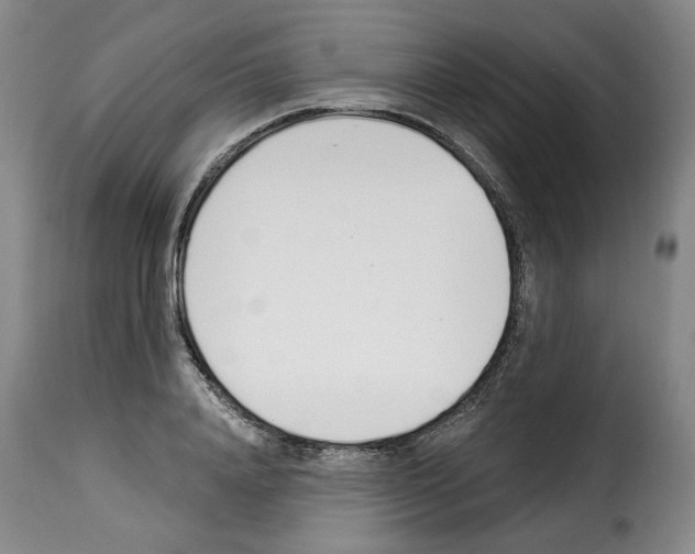 X0000114240840200911201131