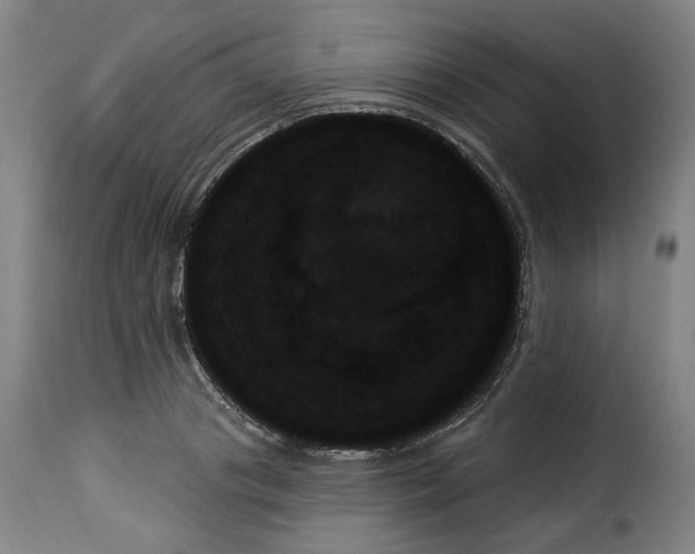 X0000114240841200911201131