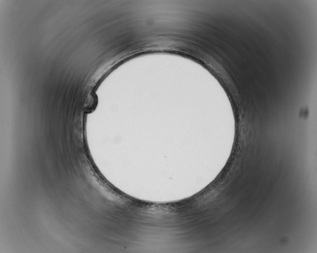 X0000114240842200911201131