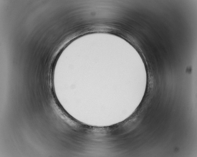 X0000114240843200911201131