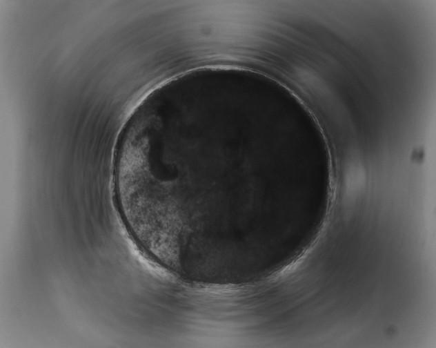 X0000114240845200911201131