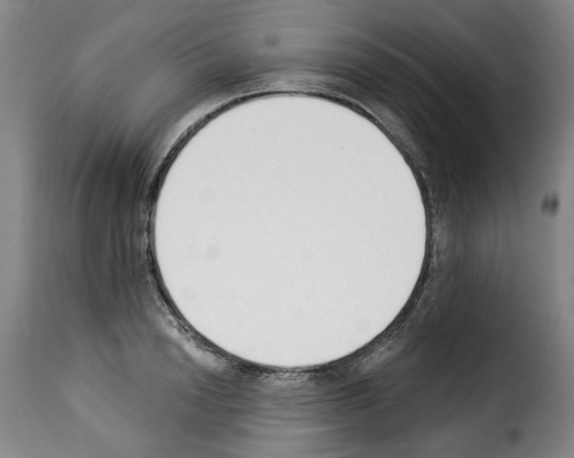 X0000114240846200911201131