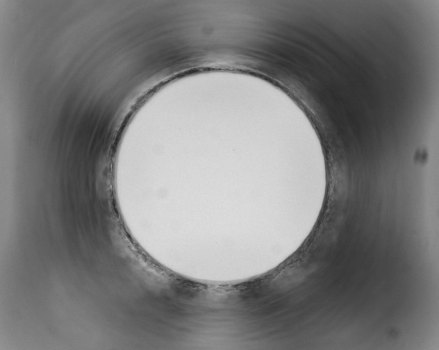 X0000114240848200911201132