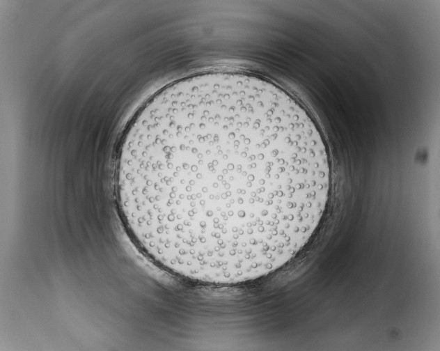 X0000114240851200911201132