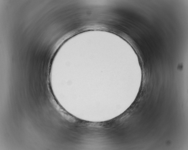 X0000114240861200911201132