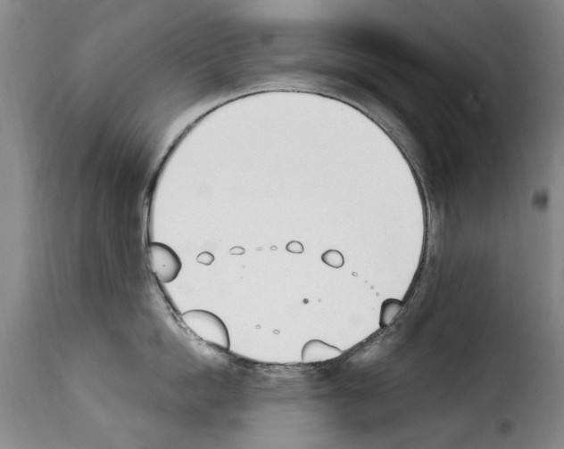 X0000114240862200911201132