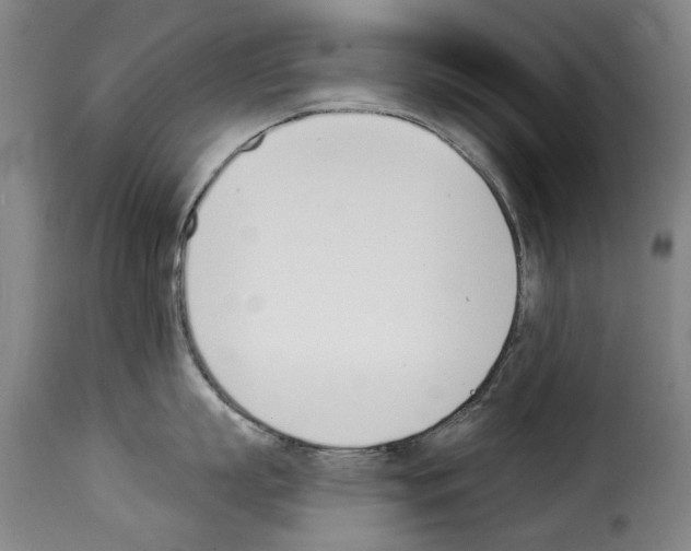 X0000114240863200911201132