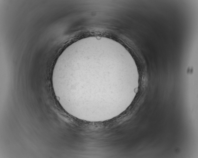 X0000114240865200911201131