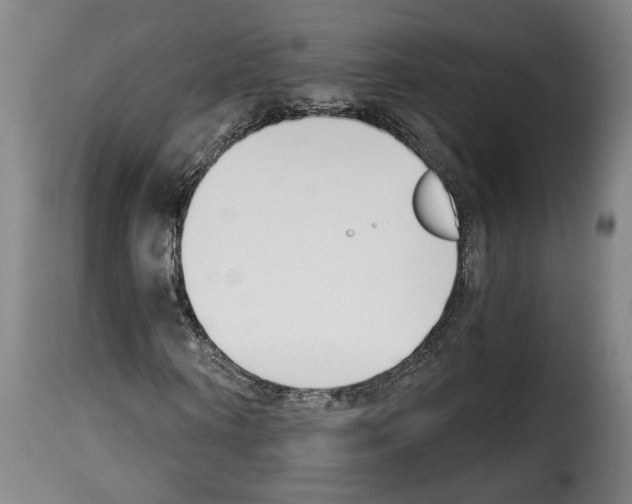 X0000114240866200911201131