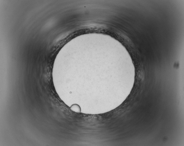 X0000114240869200911201131