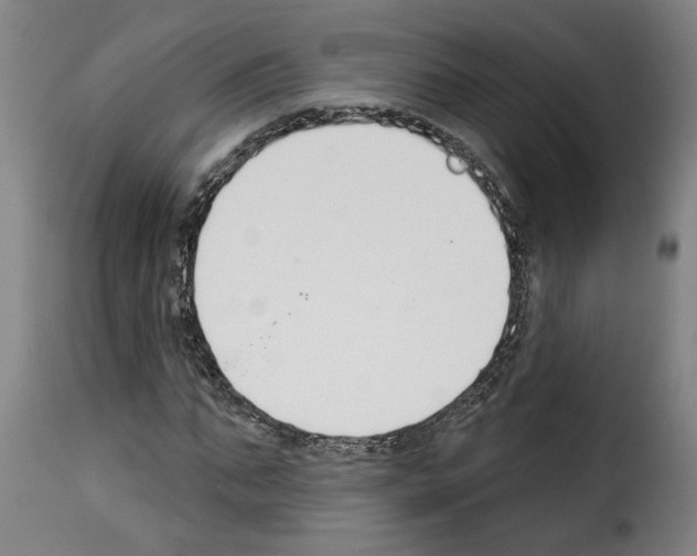 X0000114240871200911201131