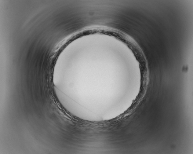 X0000114240872200911201131