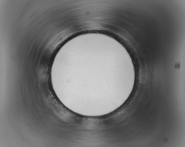 X0000114240873200911201131