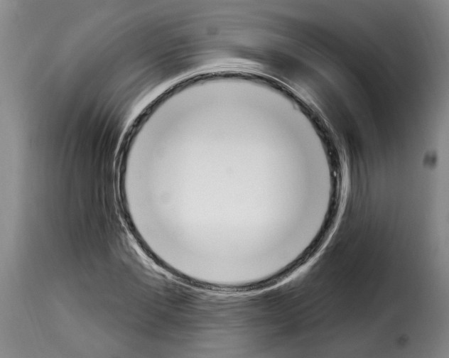 X0000114240877200911201131