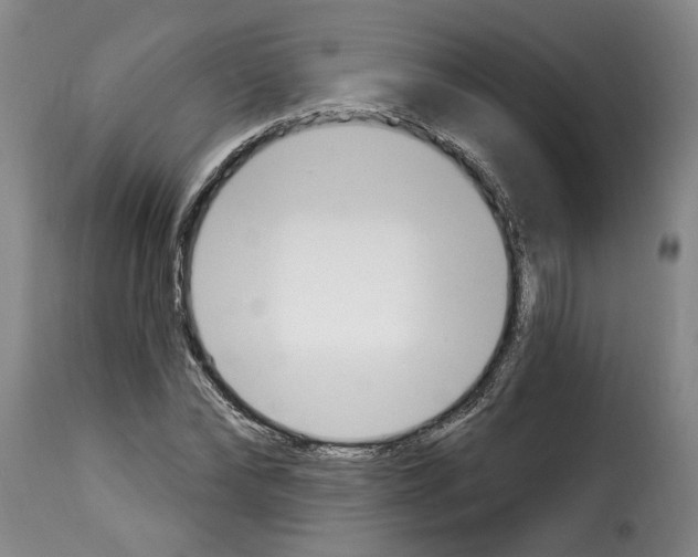 X0000114240878200911201131