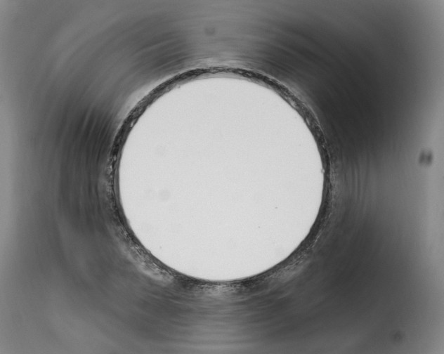 X0000114240879200911201131