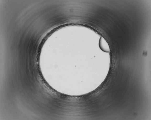 X0000114240880200911201131