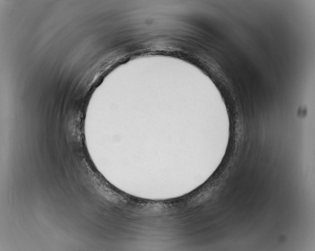 X0000114240881200911201131