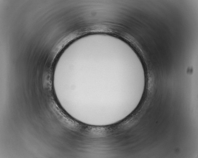 X0000114240882200911201131