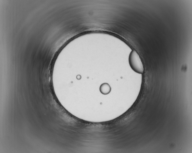 X0000114240885200911201131