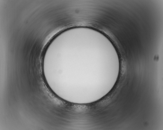 X0000114240886200911201131