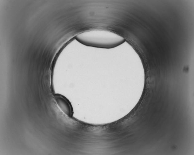 X0000114240892200911201131